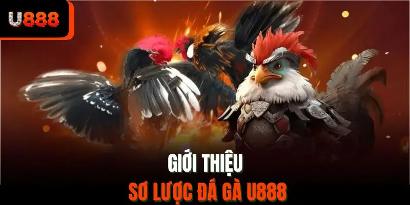 Giới thiệu sơ lược đá gà U888