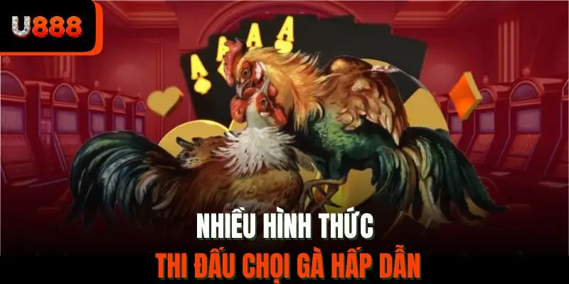 Nhiều hình thức thi đấu chọi gà hấp dẫn