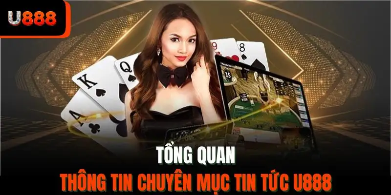 Tổng quan thông tin chuyên mục tin tức